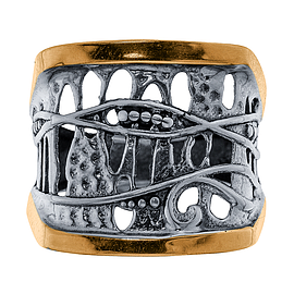 Silver and Gold Ring