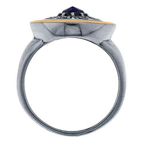 Silver and Gold Ring