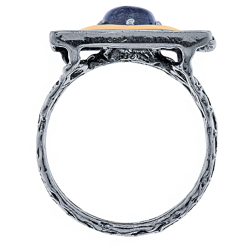 Silver and Gold Ring