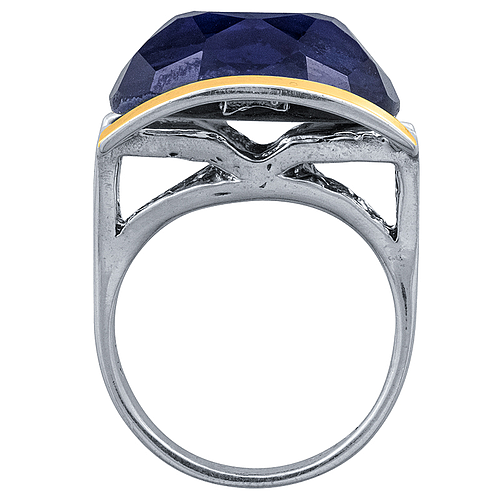 Silver and Gold Ring