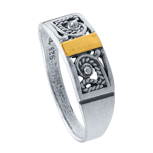 Silver and Gold Set
