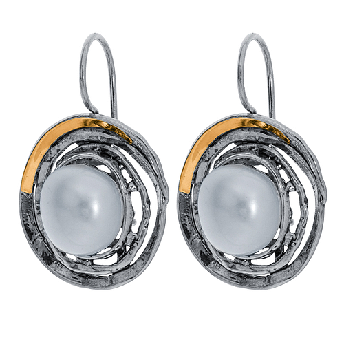 Silver and Gold Earrings