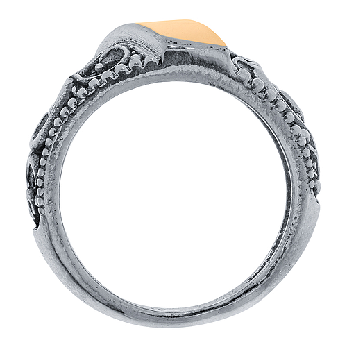 Silver and Gold Ring