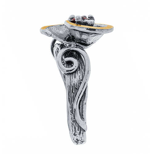 Silver and Gold Ring