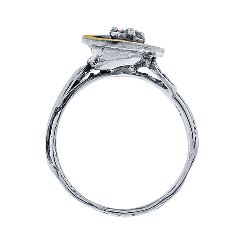 Silver and Gold Ring