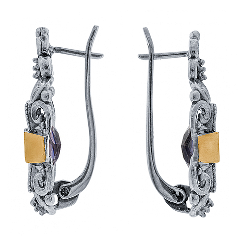 Silver and Gold Earrings