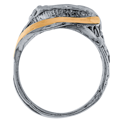 Silver and Gold Ring