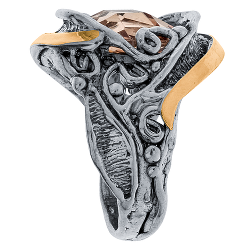 Silver and Gold Ring