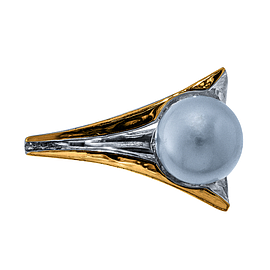 Silver and Gold Ring