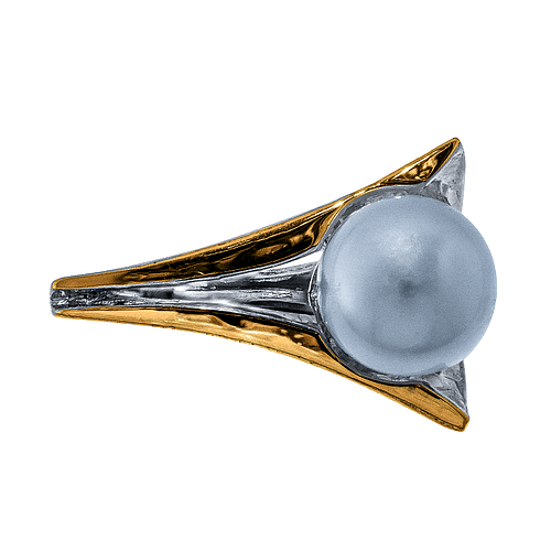 Silver and Gold Ring