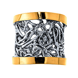 Silver and Gold Ring