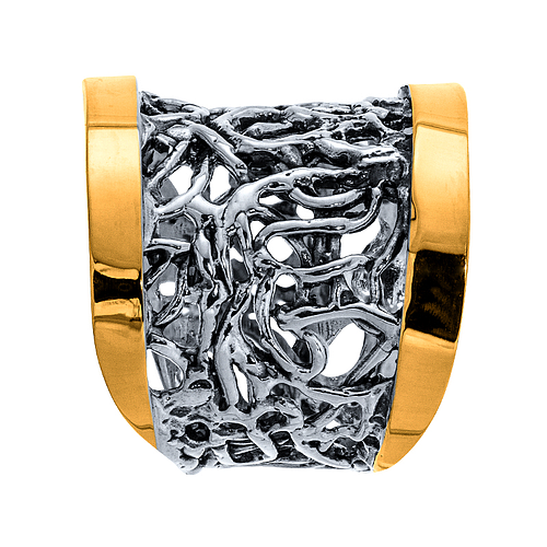 Silver and Gold Ring