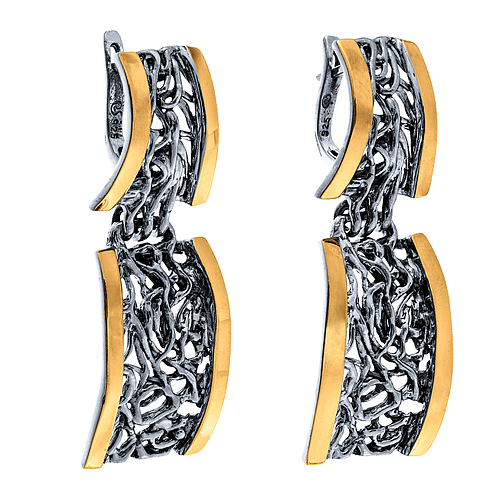 Silver and Gold Earrings