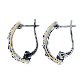Silver and Gold Earrings 