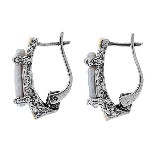 Silver and Gold Earrings