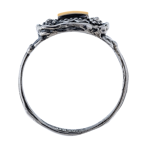 Silver and Gold Ring