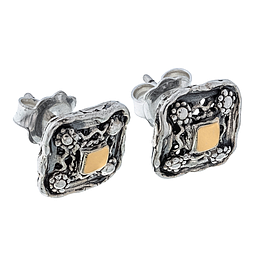 Silver and Gold Earrings