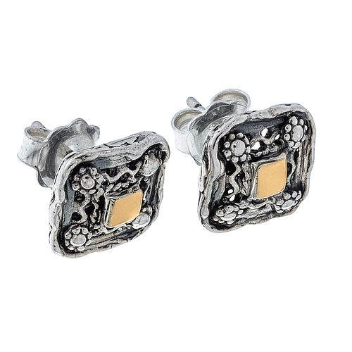 Silver and Gold Earrings