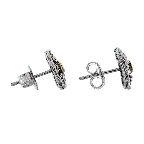 Silver and Gold Earrings