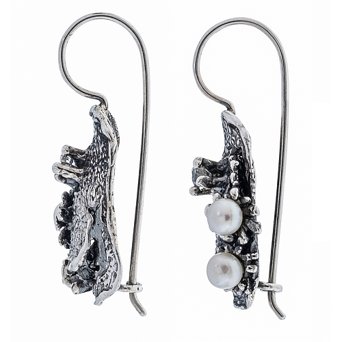 Silver Earrings