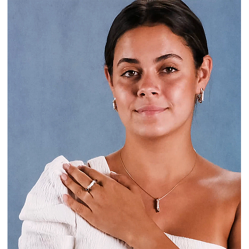 Silver and Gold Earrings