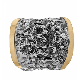 Silver and Gold Ring