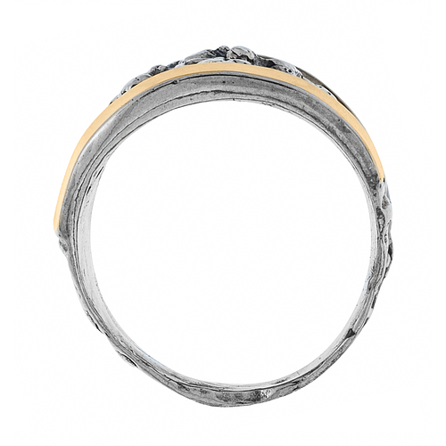 Silver and Gold Ring