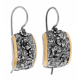 Silver and Gold Earrings