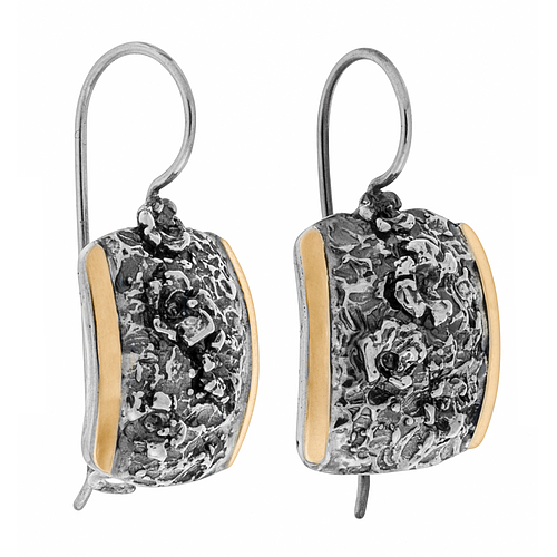 Silver and Gold Earrings