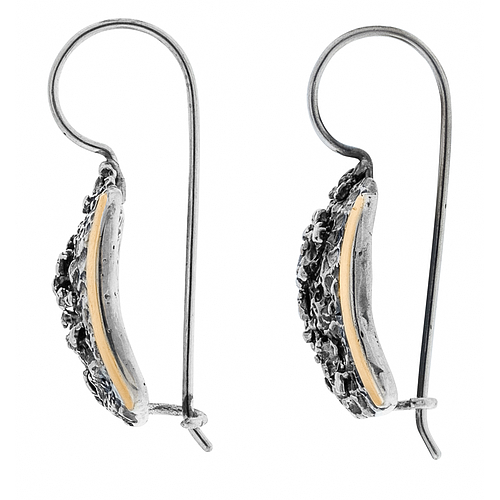 Silver and Gold Earrings