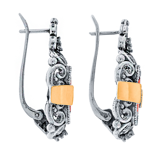 Silver and Gold Earrings 