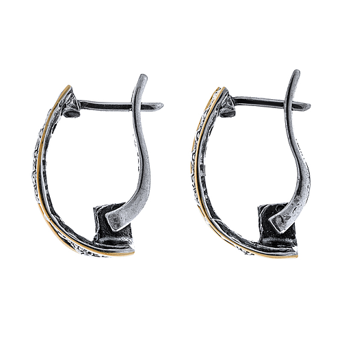 Silver and Gold Earrings