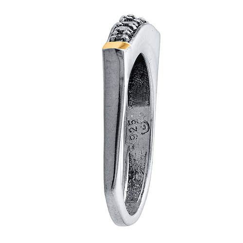 Silver and Gold Ring