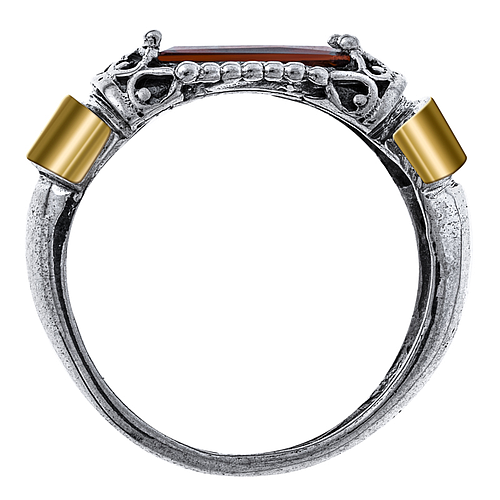 Silver and Gold Ring