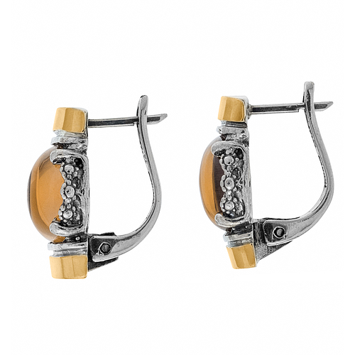 Silver and Gold Earrings