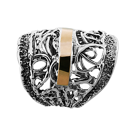 Silver and Gold Ring