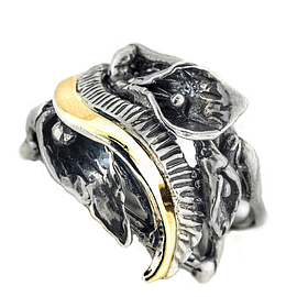 Silver and Gold Ring