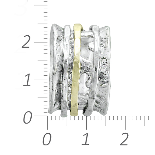 Spinner Ring "FAMILY"