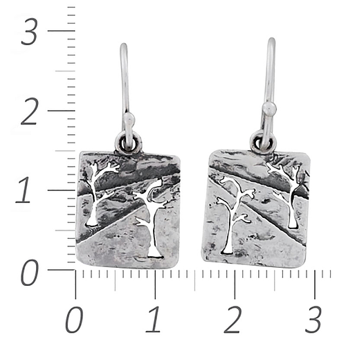 Silver Earrings