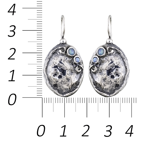 Silver Earrings