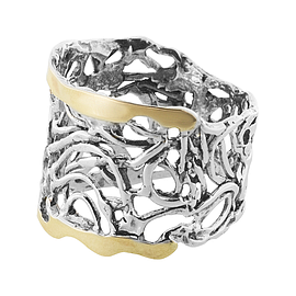 Silver and Gold Ring