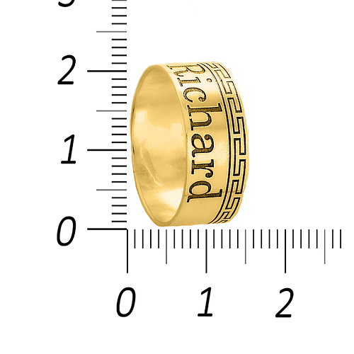 Gold or Platinum Plated Ring