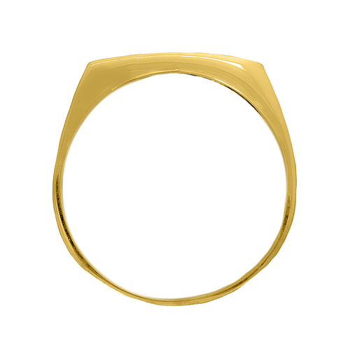 Gold or Platinum Plated Ring