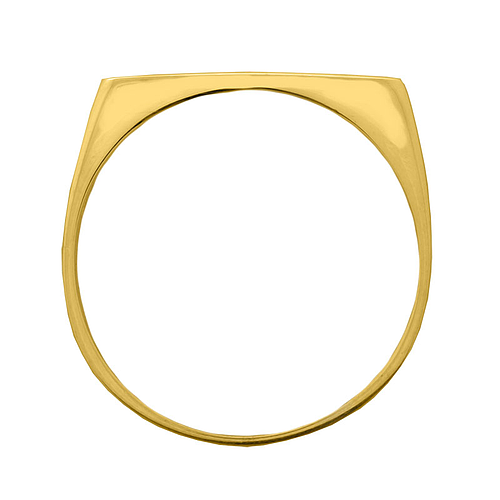 Gold or Platinum Plated Ring