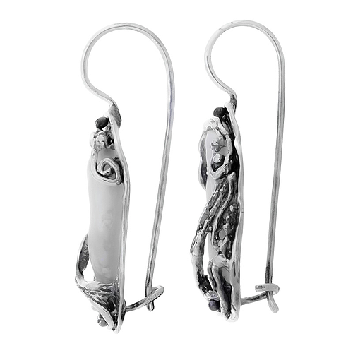 Silver Earrings