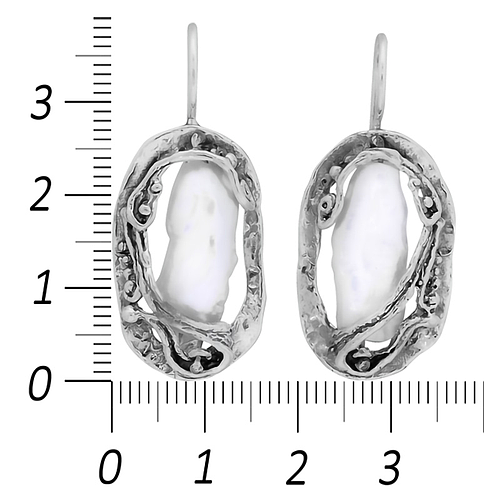 Silver Earrings