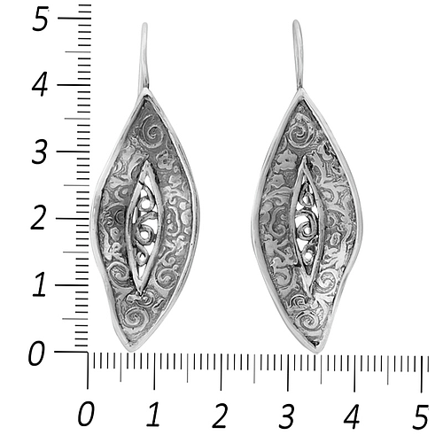 Silver Earrings