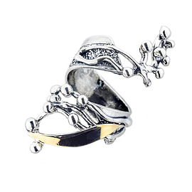 Silver and Gold Ring