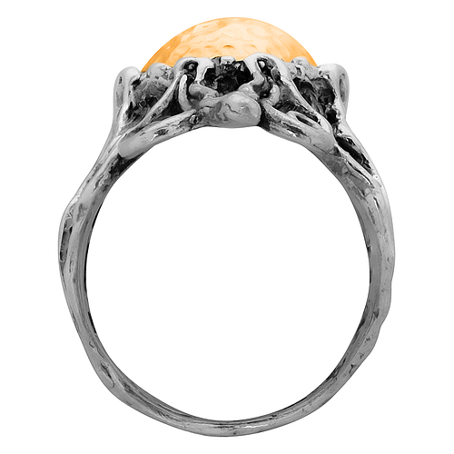 Silver and Gold Ring