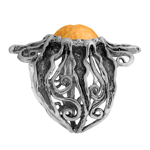 Silver and Gold Ring